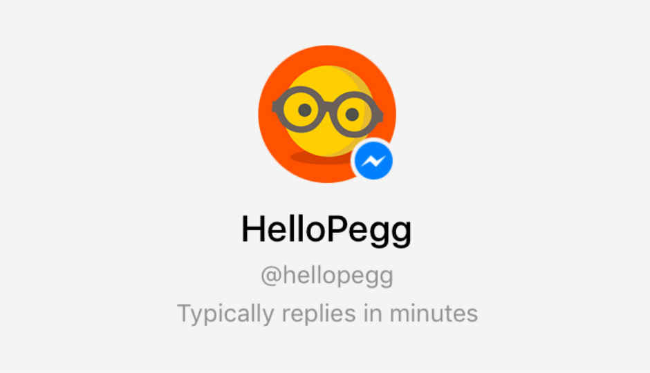 Pegg is a Facebook Messenger chatbot that can be your personal accountant