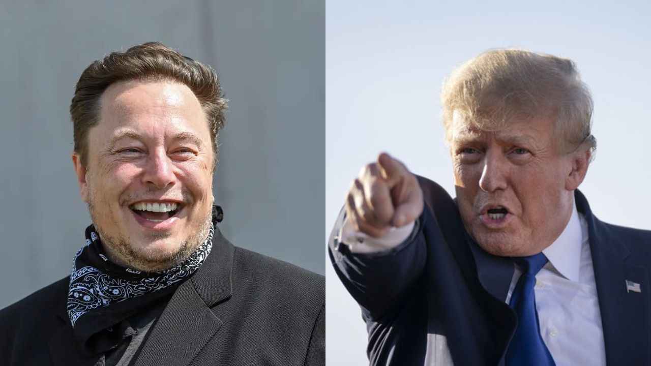 Elon Musk reverses Donald Trumps Twitter ban, after an online spam honeypot poll