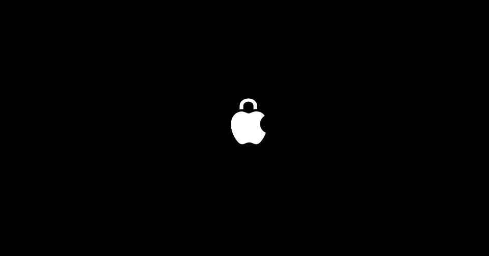 Apple Privacy Logo