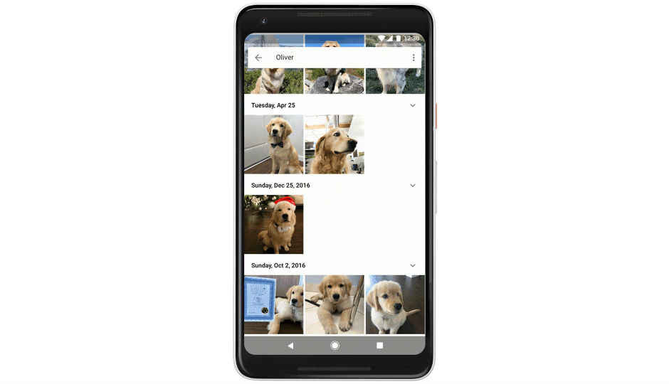 Google Photos can now recognise your pets