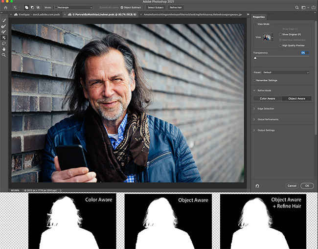 Adobe Photoshop has a one-click hair refinemnt tool that will automatically select the hair on a selected subject