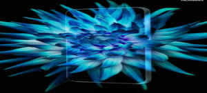 ಈಗ "Huawei Maimang 6" ಹೊಸ ಕ್ಯಾಮೆರಾದ ಸಾಮರ್ಥ್ಯಗಳನ್ನು ಹೊಂದಿದೆ.