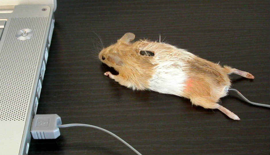 6 weird inventions that tried too hard 6 weird inventions that tried too hard