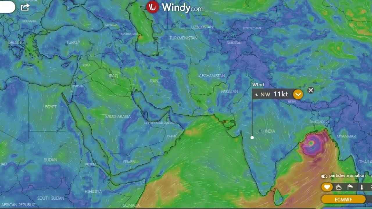 Cyclone Yaas: इन वेबसाइट और एप्स के माध्यम से मिलेगी तूफ़ान की रियल टाइम जानकारी, जानें डिटेल्स