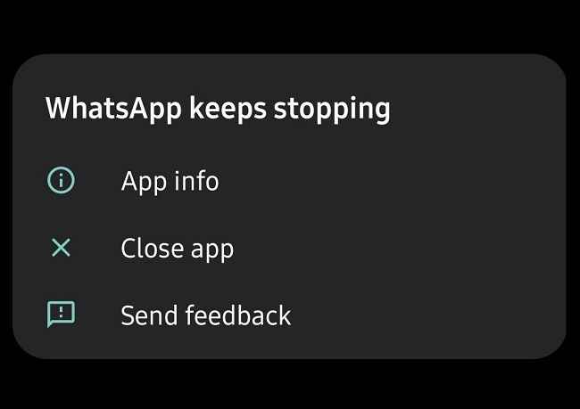 WhatsApp beta crashing for users