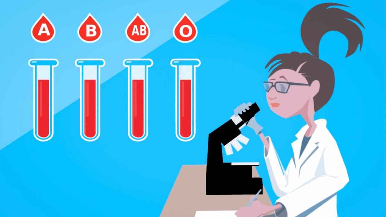 Why do humans have different blood groups