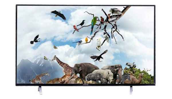 Kevin 55 inches Smart 4K LED TV