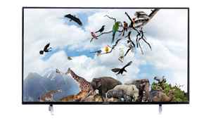 అమేజాన్ గ్రేట్ ఇండియన్ సేల్ నుండి బ్రాండెడ్ LED టీవీ పైన బంపర్ ఆఫర్లు