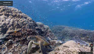 12 interesting places to visit on Google Street View