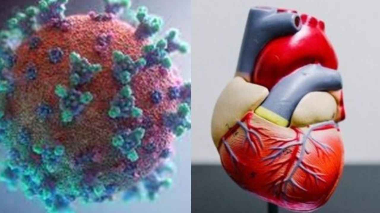 Cancer and heart diseases to get Covid-like rapid tests
