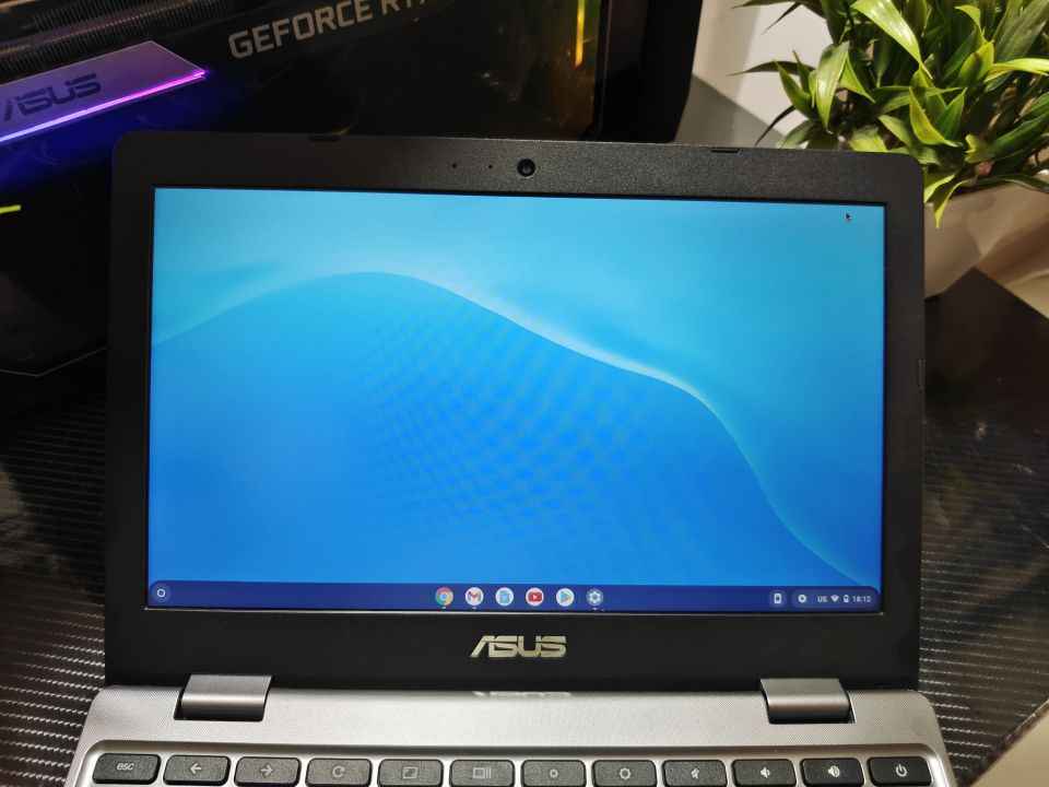 Chromebook C223 Display