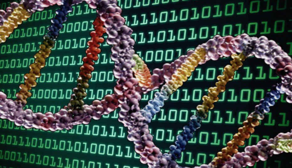 Scientists store 700 TB of data on one gram of human DNA