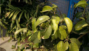 OnePlus Oxygen OS: Hands-on