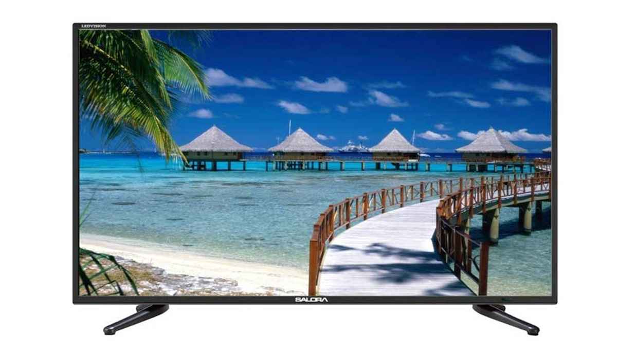 सैलोरा 24 इंच HD Ready LED टीवी 