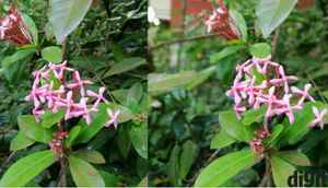 Honor 9i: In Pictures