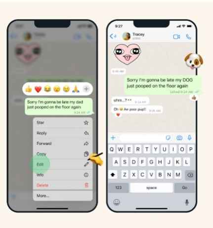 WhatsApp Edit Feature