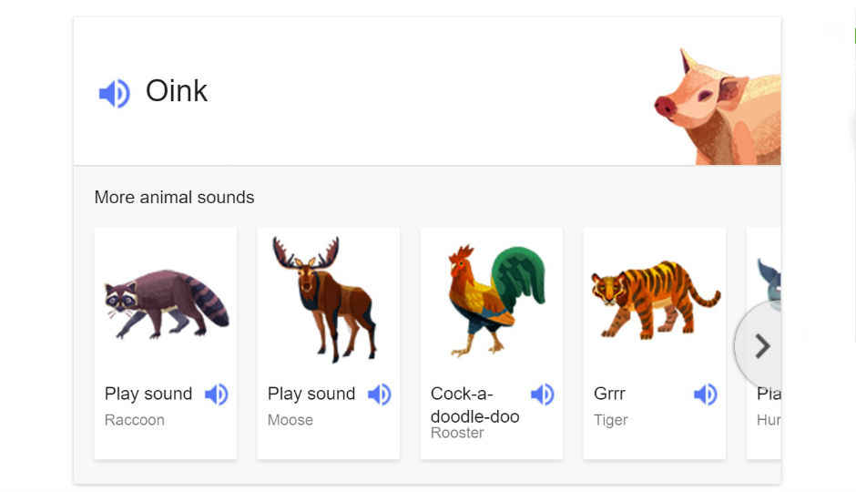 Don’t know what a raccoon sounds like? Ask Google