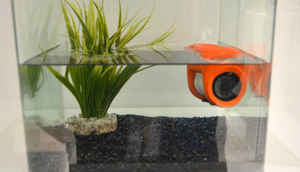 IFA 2015: Interesting gadgets you may have missed