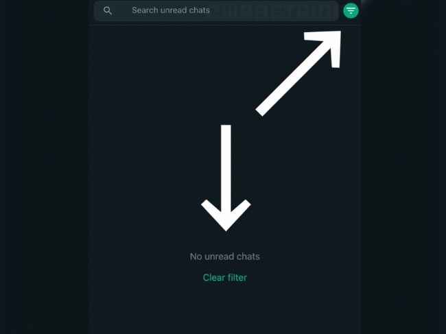 WhatsApp Unread Chat Filter