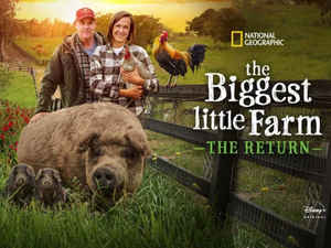 Disney+ Hotstar April release: চলতি মাসে রিলিজ হয়েছে Hotstar-এ এই সিনেমা এবং ওয়েব সিরিজ, দেখুন লিস্ট