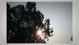 Evaluating the Google Nexus 5 camera quality (slideshow)