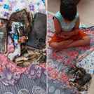 OnePlus Nord 3 blast: Alleged instance injures a kid, suggests report
