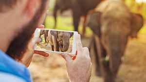 വില തുച്ഛം, ഗുണം മെച്ചമെന്ന് പറയാവുന്ന പുത്തൻ ഫോണുകൾ ഇവയാണ്...