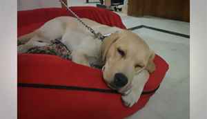 Evaluating the Google Nexus 5 camera quality (slideshow)