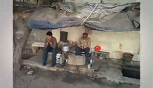 Evaluating the Google Nexus 5 camera quality (slideshow)