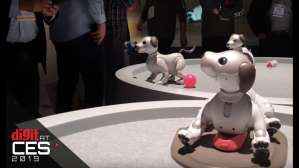 CES 2019: Sony Aibo Robot Dog | Digit.in