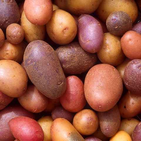 18 Times potatoes invaded pop culture