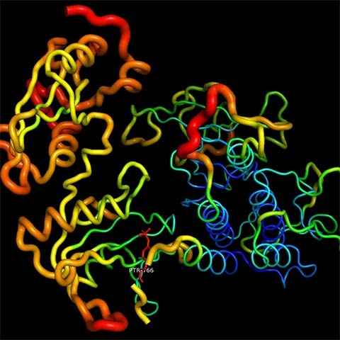 Researchers use wireless implants to toggle “boss” gene on and off