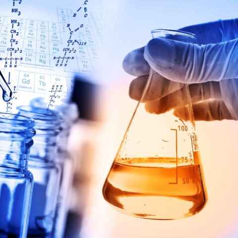 2019's most notable scientific feats