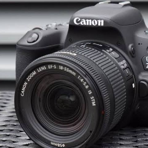 World Photography Day: কম বাজেটে সেরা 5 DSLR ক্যামেরা, দেখে নিন লিস্ট - World Photography Day: Best DSLR Camera Under 30000 Rs in India - Vimarsana News