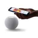 Besides Apple Music, Homepod Mini users can now stream from Gaana, JioSaavn