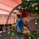 NASA is now offering a million dollars to keep astronauts well fed in its 'Deep Space Challenge'