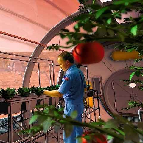 NASA is now offering a million dollars to keep astronauts well fed in its 'Deep Space Challenge'