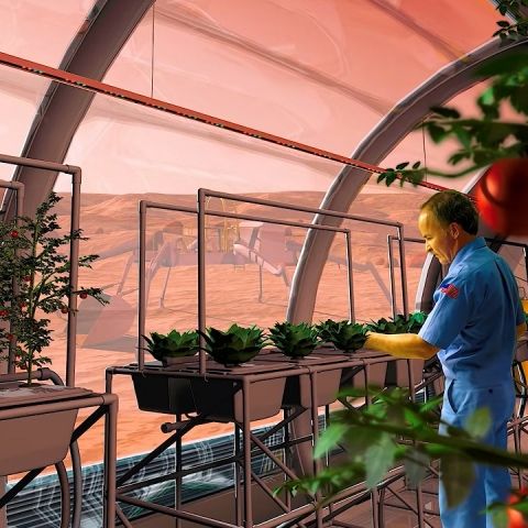 NASA is now offering a million dollars to keep astronauts well fed in its 'Deep Space Challenge' - Vimarsana News