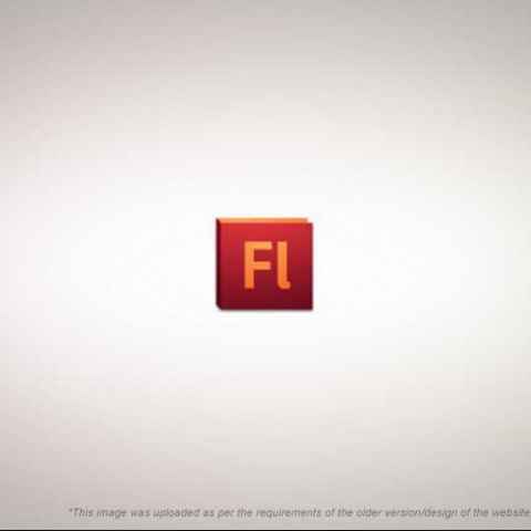 Adobe Flash Professional Cs5 Digit