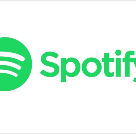 Spotify Introduces Real-Time Lyrics On Google Nest Hub - Vimarsana News