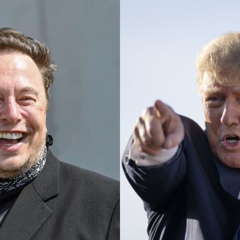 Elon Musk reverses Donald Trump's Twitter ban, after an online 'spam honeypot' poll - Vimarsana News