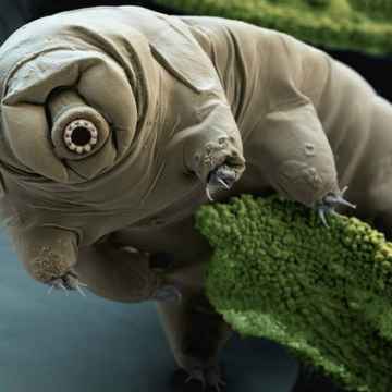 23+ Unsolved Mystery In Hindi Pics