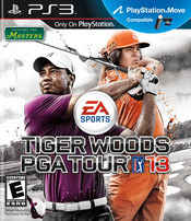 tiger woods pga tour 2003 cheat codes