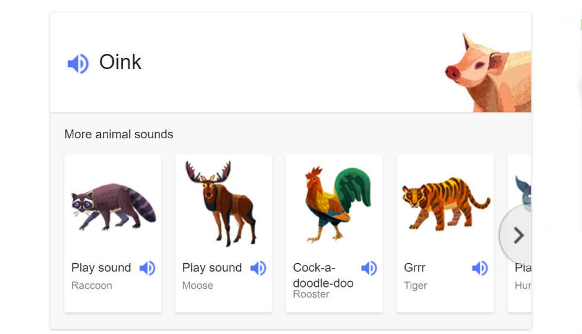 Don't know what a raccoon sounds like? Ask Google | Digit
