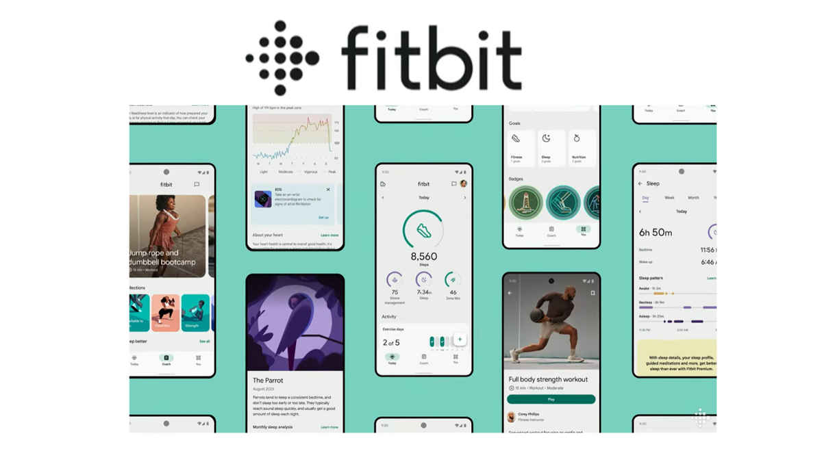 Fitbit app gets a redesign: Check out what’s new  | Digit