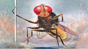 ब्रह्मास्त्रच्या आधी ‘या’ भारतीय चित्रपटातील VFX तंत्रज्ञानाने जिंकली प्रेक्षकांची मने