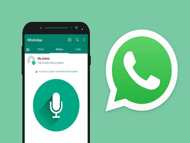 Whatsapp Voice Status