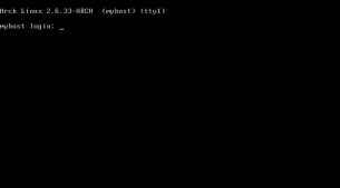 Arch Linux screenshot