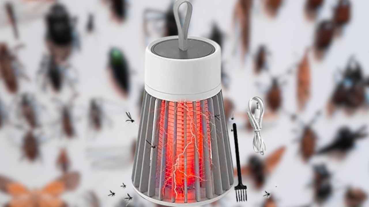 बरसात में कीट-पतंगों से भर जाता है घर? ये लालटेन जैसे डिवाइस है रामबाण, करता है चमत्कार, कीमत जान तुरंत खरीद लेंगे