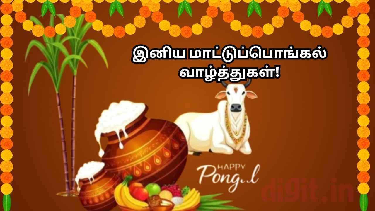 Happy Mattu Pongal:உழவுக்கு உறுதுணையாக இருக்கும் மாட்டு பொங்கல் அன்பான வாழ்த்து கூறி மகிழுங்க